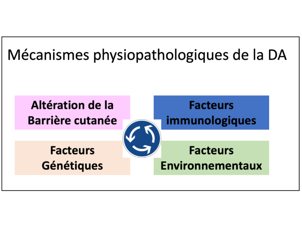 Mécanismes physiopathologiques de la dermite atopique 